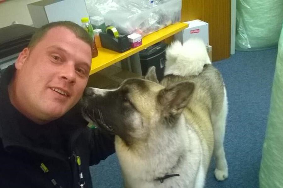 A man and a dog taking a selfie, with the dog sniffing the man's face