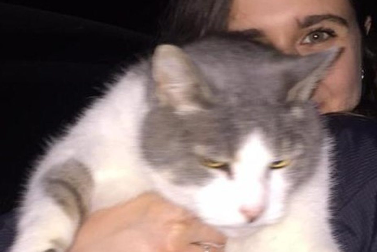 Megan and her cat