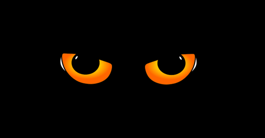 Black background with orange coloured eyes staring at you