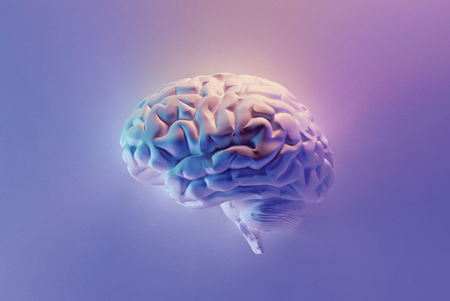 Image showing a brain to illustrate cognitive psychology in UX design