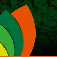 A graphic of the Forest icon consisting of four overlapping leaf shapes. The three foremost leaves are in different shades of green; the last leaf is orange in colour. The graphic is placed on an tinted image of a forest canopy.