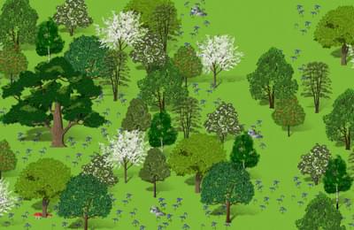 Hero image of the virtual forest. A mature English oak is on the left dominating the graphic, surrounded by a bluebell field and the rest of the forest.