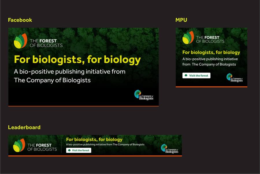 A Facebook banner and two web banners (MPU and Leaderboard) adverting The Forest of Biologists'