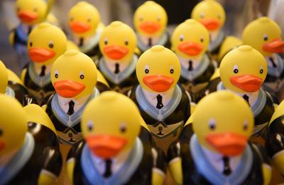 Multiple rows of plastic yellow duck. The ducks are wearing smart dress and UGLE sash and cloak.