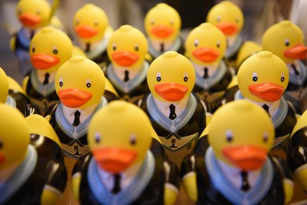 Multiple rows of plastic yellow duck. The ducks are wearing smart dress and UGLE sash and cloak.